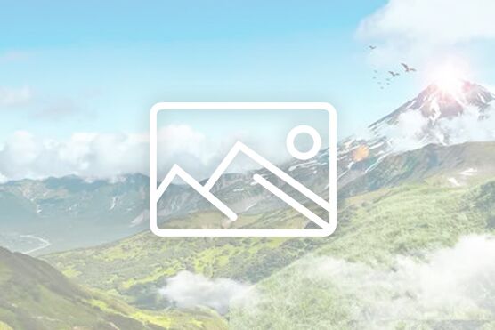 ZX-350育苗袋制袋機